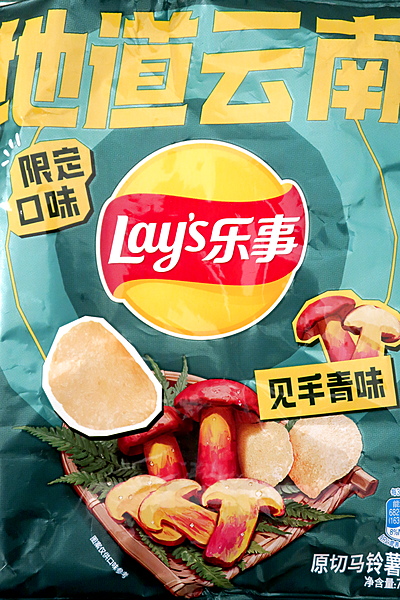 Picture of Lay's Bolete Mushroom
